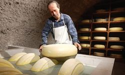 Kars Peynir Müzesi yoğun ilgi görüyor