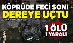 Köprüde feci son! Alkollü sürücü dereye uçtu: 1 ölü 1 yaralı