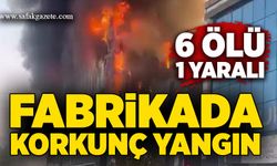 Kozmetik fabrikasında korkunç yangın: 6 ölü, 1 yaralı