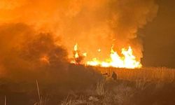 Hakkari'de kuş cennetinde yangın