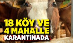 Şap nedeniyle 18 köy ve 4 mahalle karantinaya alındı