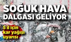 Kış kapıda! Soğuk hava dalgası geliyor!