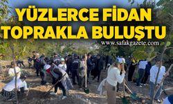 Alaplı’da yüzlerce fidan toprakla buluştu