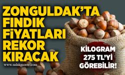 Zonguldak’ta fındık fiyatları rekor kıracak: Kilogram 275 TL’yi görebilir!