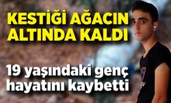 19 yaşındaki genç kestiği ağacın altında hayatını kaybetti