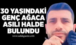 30 yaşındaki genç ağaca asılı halde bulundu