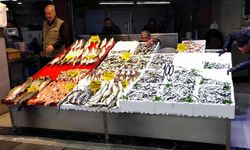 Karadeniz’de hamsi bereketi yaşanıyor