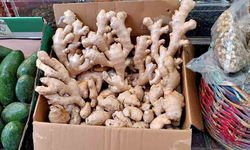 Aktarlarda zencefil yok satıyor