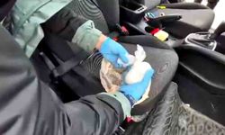 Narkotik köpeği gizli zulayı buldu: 3 şüpheli tutuklandı