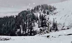 Sağanak, yerini kar yağışına bıraktı: Beyaz örtüyle kaplandı