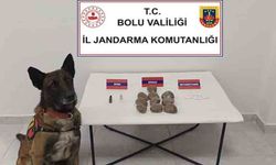 Bolu'da otomobilde zulalanmış uyuşturucuya 2 gözaltı