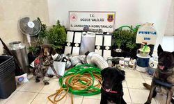 Narkotikten baskın: 1 kişi gözaltına alındı