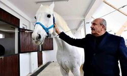 Atlı turizm merkezi kuruluyor