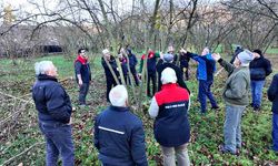 Fındık budama eğitimleri sürüyor