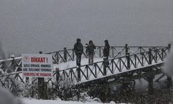 Abant Gölü Milli Parkı'nda kış güzelliği