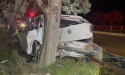 Ağaca çarpan otomobilin sürücüsü yaralandı