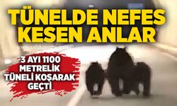 Tünelde nefes kesen anlar: 3 ayı 1100 metrelik tüneli koşarak geçti