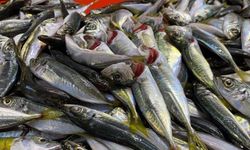 Doğru bilinen yanlışı uzmanı açıkladı: "Gözüne bakıp tazeliğini anlarım diyen yalan söyler"