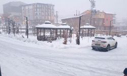 Başkale'de kar yağışı etkili oldu