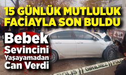 Yeni doğum yapan anne yolun karşısına geçerken hayatını kaybetti