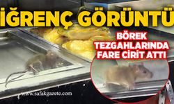 İğrenç görüntü: Börek tezgahlarında fare cirit attı