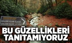 Bu güzellikleri tanıtamıyoruz