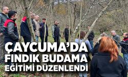 Çaycuma’da fındık budama eğitimi düzenlendi