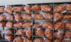 Cennet hurmaları Almanya'ya ihraç edildi