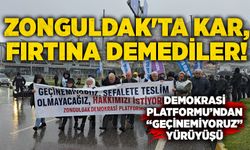 Zonguldak'ta kar fırtına demediler! Demokrasi Platformu’ndan “Geçinemiyoruz” yürüyüşü