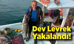 Denizde Büyük Sürpriz: Ağlardan 10 Kiloluk Levrek Çıktı