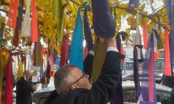 Memurlar bakanlığın önündeki ağacı 'dilek ağacı'na çevirdi