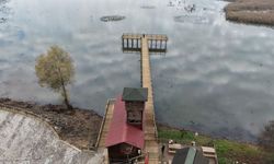 Göçmen kuşların mola noktası Efteni Gölü yenileniyor