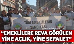 Tüm Emeklilerin Sendikası : "Emeklilere reva görülen yine açlık, yine sefalet"