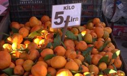 En ucuz meyve mandalina: Dalında 3, pazarda 5 lira