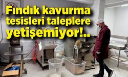 Alaplı’da fındık kavurma tesisleri taleplere yetişemiyor