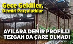 Ayılara demir profilli tezgah da çare olmadı