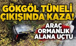 Gökgöl Tüneli çıkışında kaza! Araç ormanlık alana uçtu