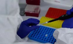 Düzce, sağlıkta bölgesel merkez oluyor