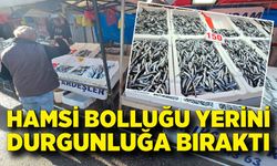 Hamsi fiyatı yükselişe geçti