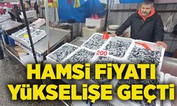 Zonguldak’ta hamsi 200 liraya çıktı!