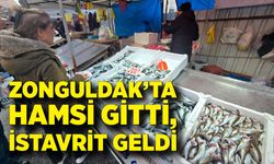 Zonguldak’ta Hamsi Gitti, İstavrit Geldi