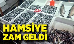 Hamsiye zam geldi