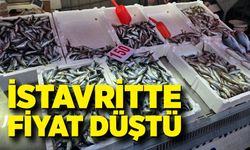 İstavritte fiyat düştü: Tezgahlarda 150 TL’den alıcı buldu