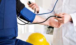 Kdz Ereğli Orman İşletme Müdürlüğü Çalışanları İçin İş Yeri Hekimi Ve İş Güvenliği Uzmanı