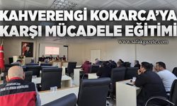 Kahverengi Kokarca’ya karşı mücadele eğitimi