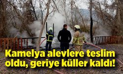 Kamelya alevlere teslim oldu, geriye küller kaldı!
