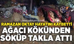 Karabük’te feci kaza: Otomobil ağaca çarpıp takla attı, sürücü öldü