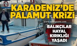 Karadeniz’de palamut krizi: Balıkçılar hayal kırıklığı yaşadı