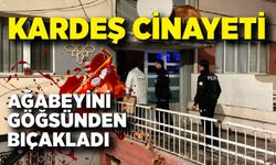 Kardeş cinayeti: Ağabeyini göğsünden bıçakladı