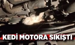 Minibüsün motoruna sıkışan kedi kurtarıldı